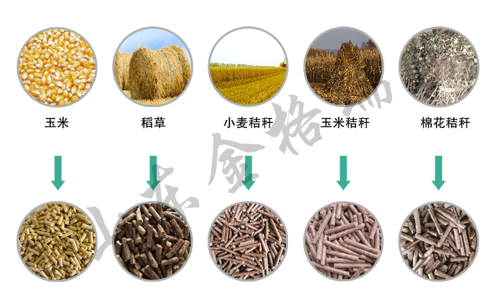 秸稈顆粒機(jī)生產(chǎn)的飼料顆粒 秸稈顆粒機(jī)生產(chǎn)的飼料顆粒