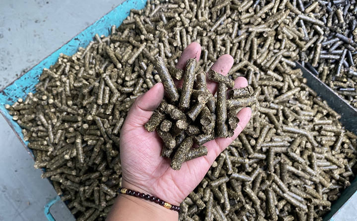 顆粒機造的顆粒 顆粒機造的顆粒