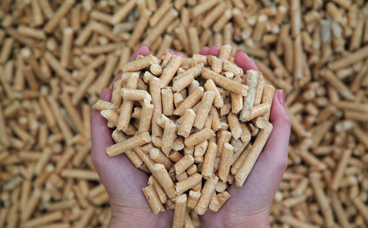 鋸末顆粒機(jī)的生物質(zhì)顆粒燃料 鋸末顆粒機(jī)的生物質(zhì)顆粒燃料