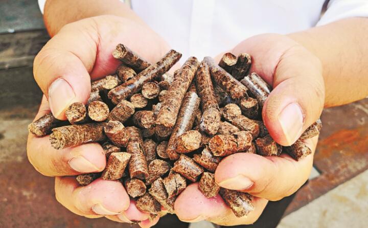 農(nóng)村生產(chǎn)產(chǎn)生的農(nóng)作廢棄物由木屑顆粒機(jī)變廢為寶 農(nóng)村生產(chǎn)產(chǎn)生的農(nóng)作廢棄物由木屑顆粒機(jī)變廢為寶