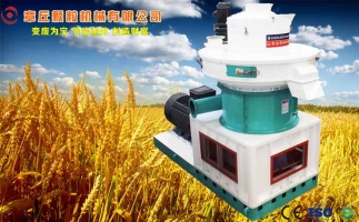 中國創(chuàng)新提速,綠色經(jīng)濟之離心高效環(huán)模顆粒機