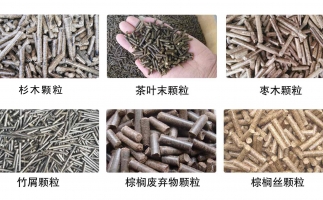 木屑顆粒機多少錢及發(fā)展趨勢如何？看這里