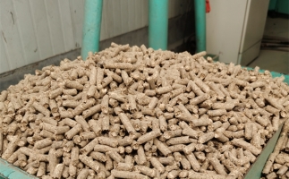 在燃燒時(shí)，水分大的生物質(zhì)顆粒會(huì)出現(xiàn)哪些問題？