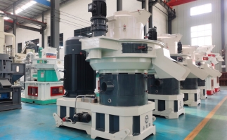 鋸末顆粒機(jī)生物質(zhì)顆粒，將會改變普通人民的生活！