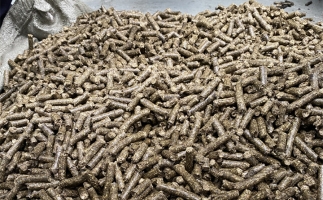 鋸末顆粒機的顆粒燃料比煤炭貴，為什么還有那么多人用？
