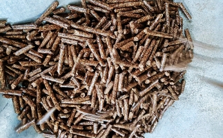 鋸末顆粒機的生物質(zhì)顆粒除了代替原煤，還能用在這！