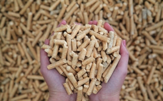 夏季儲存鋸末顆粒機生物質(zhì)顆粒的方法，要認(rèn)真看喲