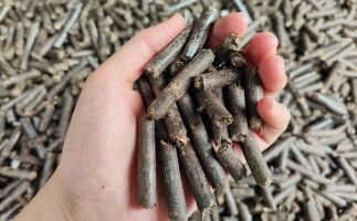 生物質(zhì)顆粒燃料公司前景怎么樣，木屑顆粒機(jī)的顆粒燃料賣給誰的？