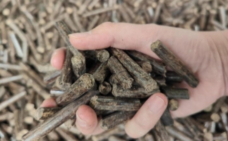 木屑燃料顆粒熱值多少大卡，完全取決于燃料的原料